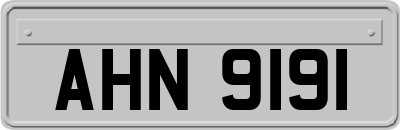 AHN9191