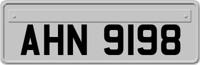 AHN9198