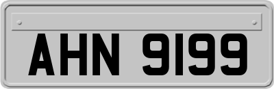 AHN9199