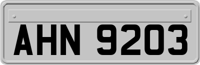 AHN9203