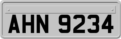 AHN9234