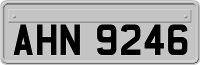 AHN9246