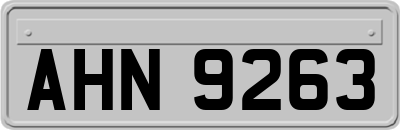 AHN9263