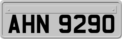 AHN9290