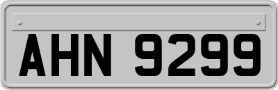 AHN9299