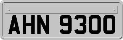 AHN9300