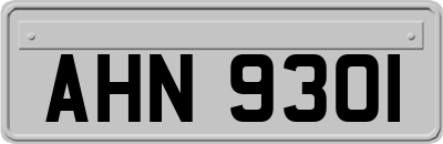 AHN9301
