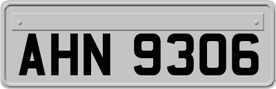 AHN9306