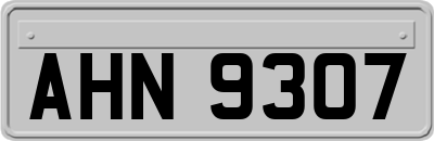 AHN9307