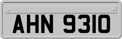 AHN9310