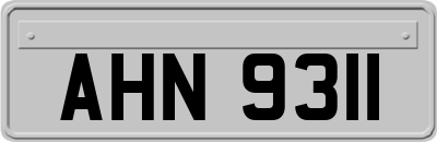 AHN9311
