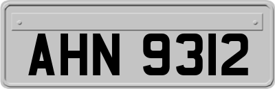 AHN9312