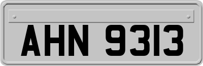 AHN9313