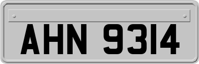 AHN9314