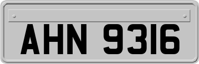 AHN9316