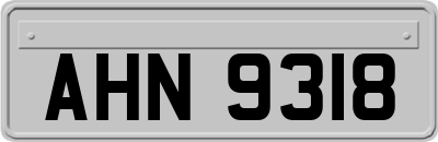 AHN9318