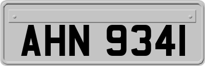 AHN9341