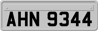 AHN9344