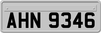 AHN9346