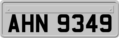 AHN9349