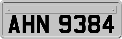 AHN9384