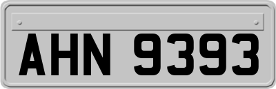 AHN9393