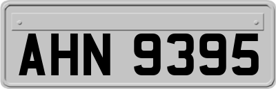 AHN9395