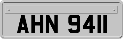 AHN9411