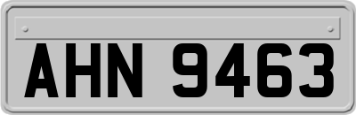 AHN9463