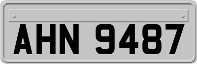AHN9487
