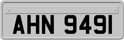 AHN9491