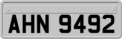 AHN9492