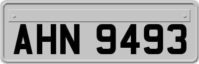 AHN9493