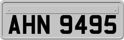 AHN9495