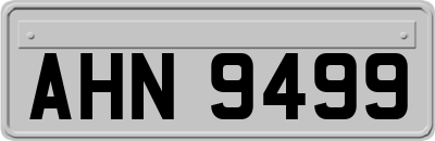 AHN9499