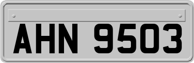 AHN9503