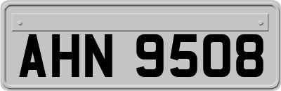 AHN9508