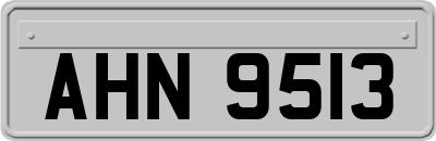 AHN9513