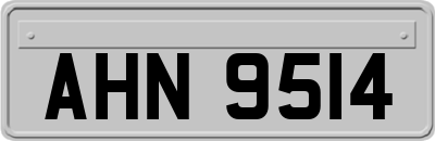 AHN9514