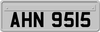 AHN9515