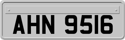AHN9516