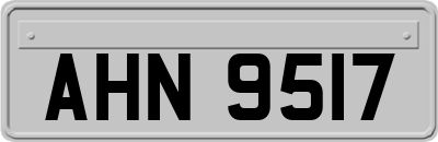 AHN9517
