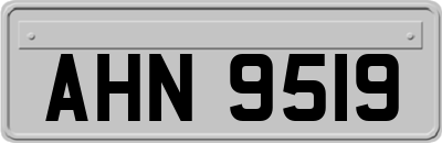AHN9519