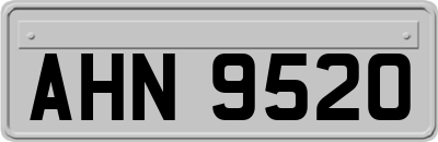 AHN9520