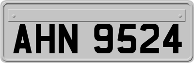 AHN9524