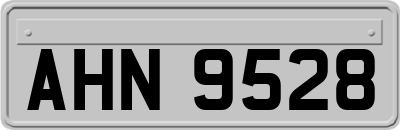 AHN9528