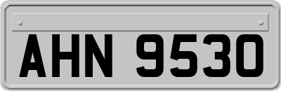 AHN9530