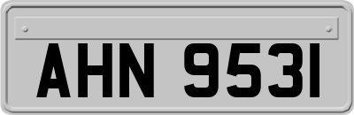 AHN9531