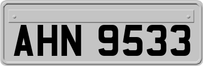 AHN9533