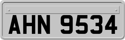 AHN9534